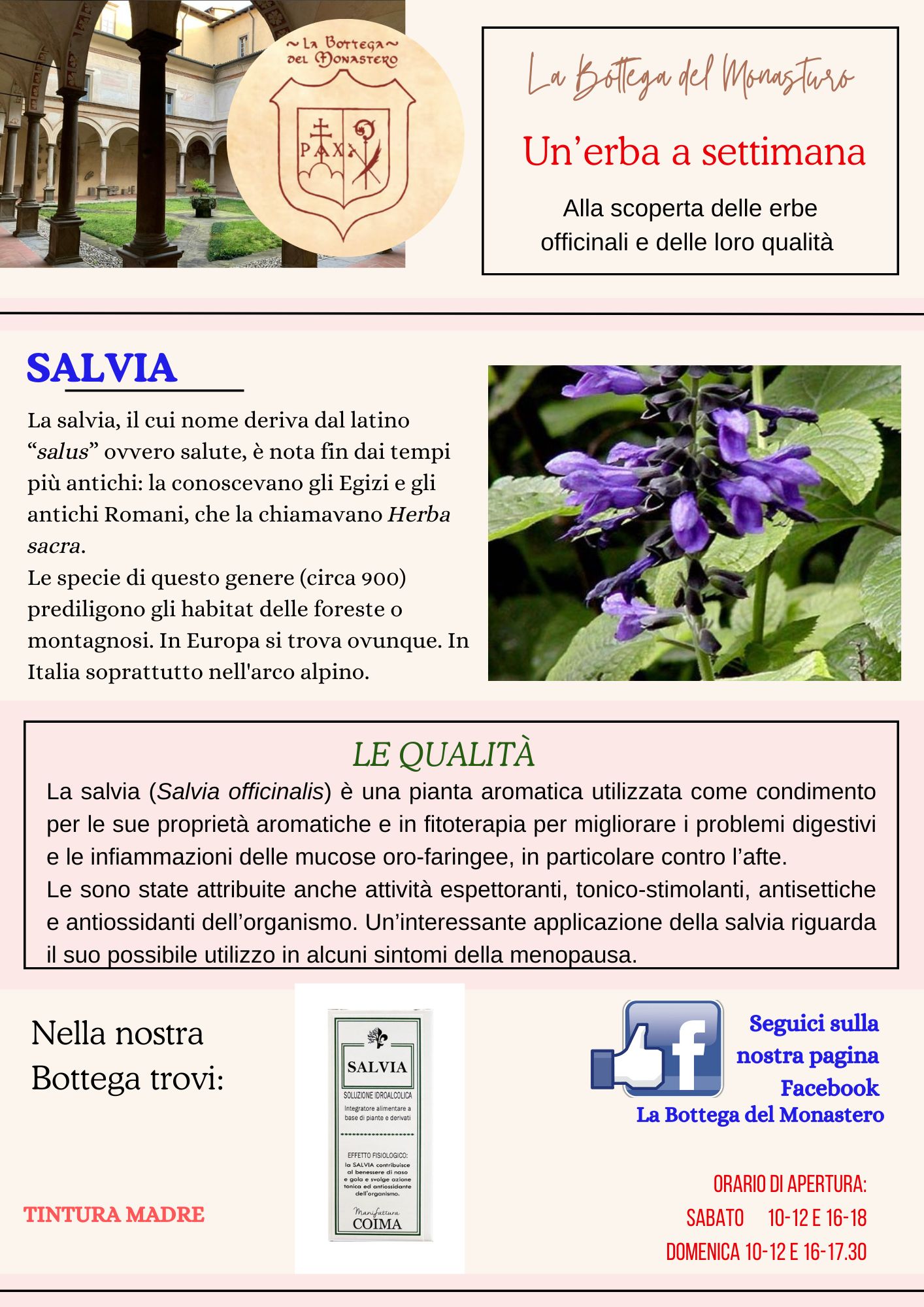 SALVIA